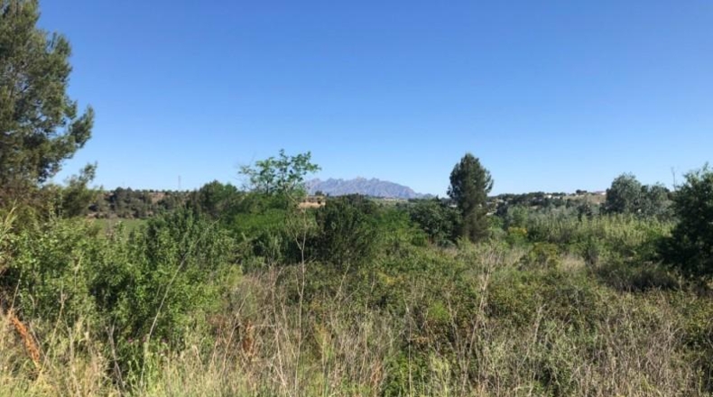 Barcelona - Gelida - 10689m2