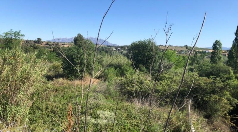 Barcelona - Gelida - 10689m2