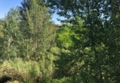 Non-developable land for sale on España, Gelida, ref: TR120013 photo