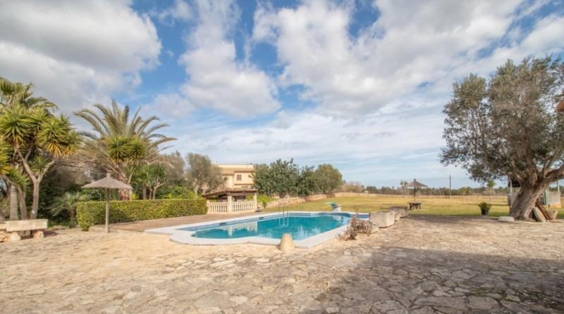Islas Baleares - Muro - 14000m2