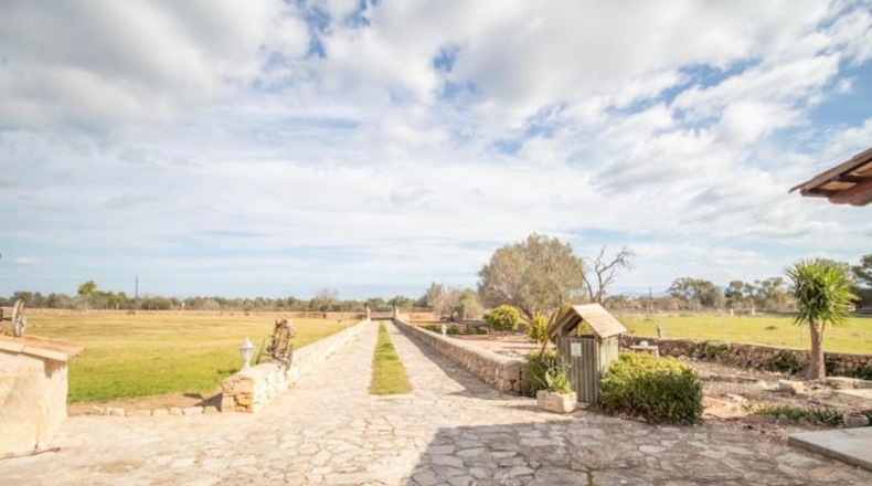 Islas Baleares - Muro - 14000m2