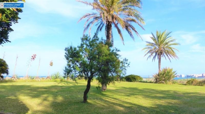 Murcia - Cartagena - 6450m2