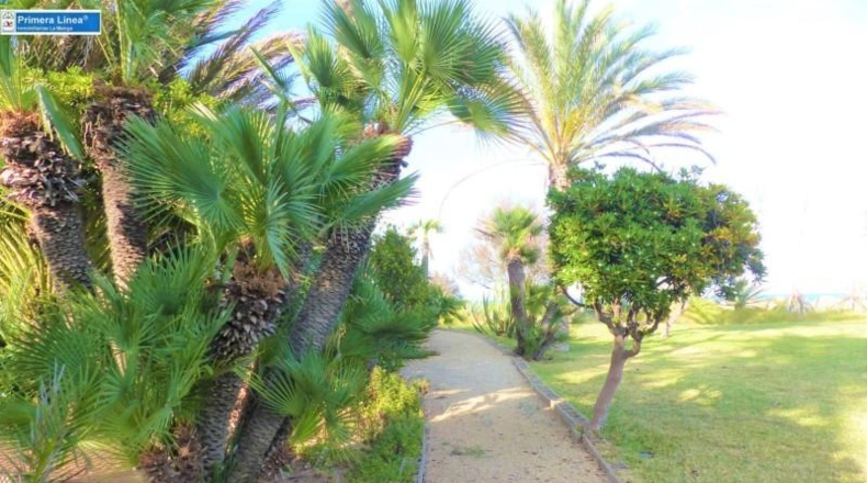 Murcia - Cartagena - 6450m2