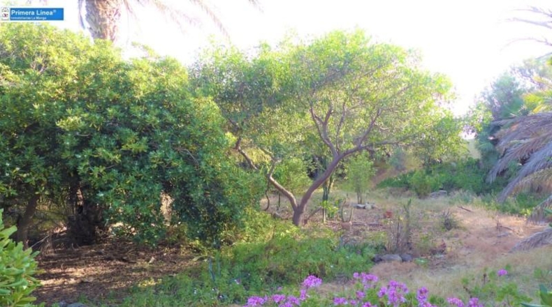 Murcia - Cartagena - 6450m2