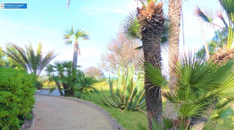 Murcia - Cartagena - 6450m2