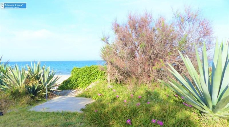 Murcia - Cartagena - 6450m2