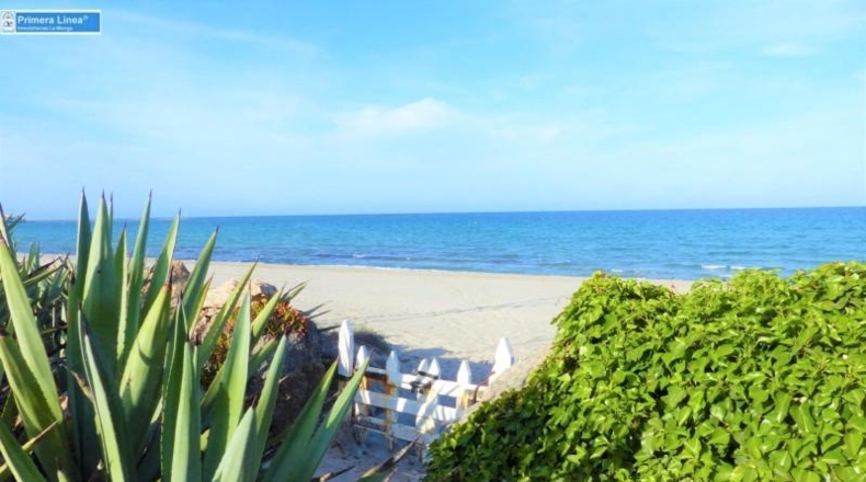 Murcia - Cartagena - 6450m2