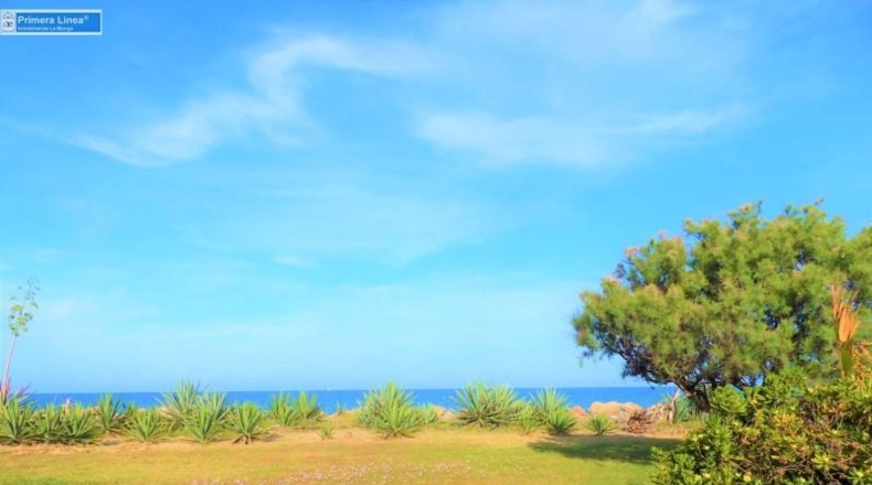 Murcia - Cartagena - 6450m2