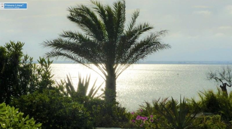 Murcia - Cartagena - 6450m2