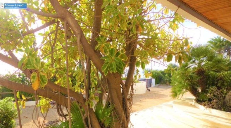 Murcia - Cartagena - 6450m2