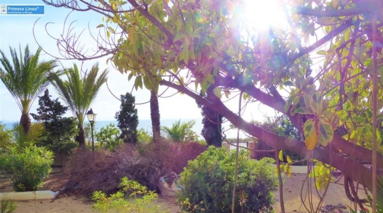 Murcia - Cartagena - 6450m2