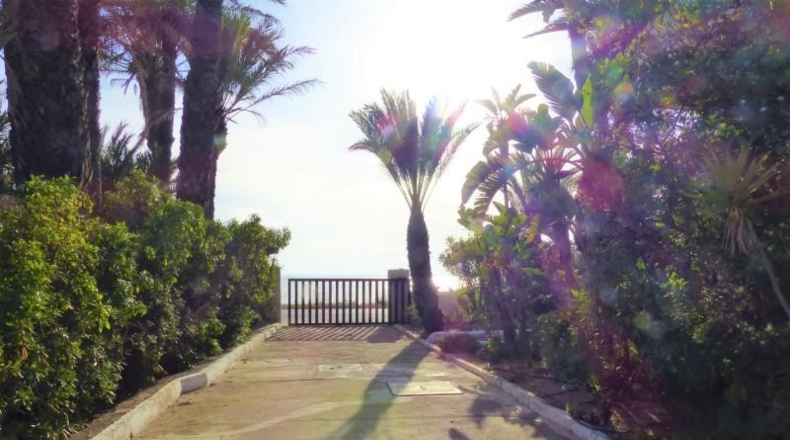Murcia - Cartagena - 6450m2