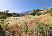 Casa de camp amb terreny en venda a la España, Campo-Mijas, ref.: TR249565 foto