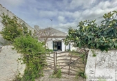 Casa de camp amb terreny en venda a la España, es Mercadal, ref.: TR314585 foto