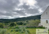 Casa de camp amb terreny en venda a la España, es Mercadal, ref.: TR314585 foto