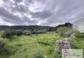 Casa de camp amb terreny en venda a la España, es Mercadal, ref.: TR314585 foto