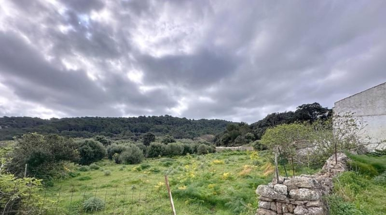 Islas Baleares - Las Salinas - 62238m2