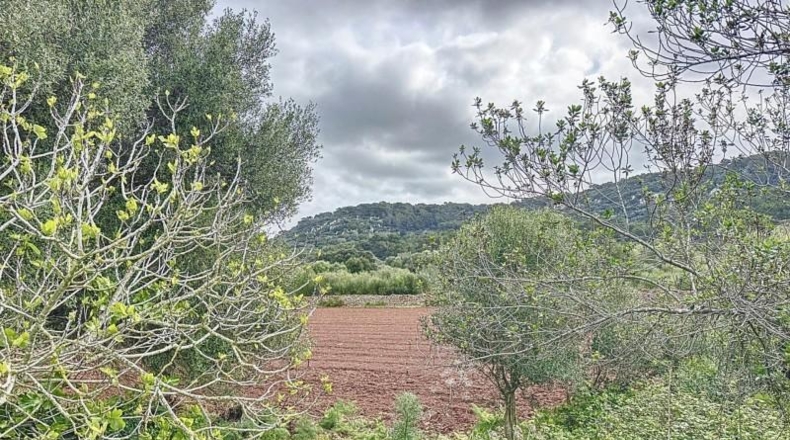 Islas Baleares - Las Salinas - 62238m2
