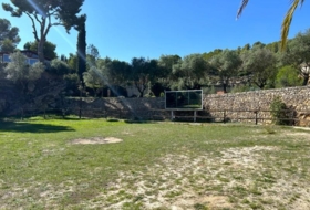 Foto 15