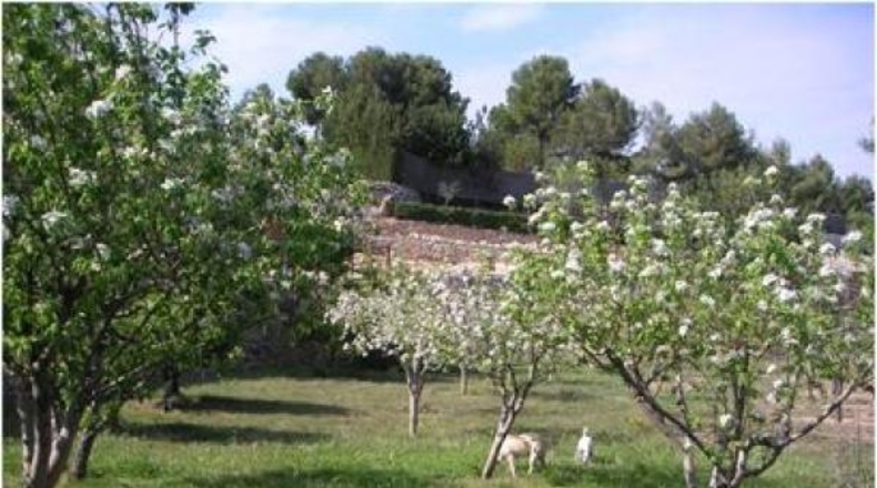 Tarragona - Albinyana - 20061m2