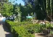 Detached villa with land for sale on España, Calvià, ref: TR135295 photo