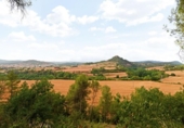 Land suitable for development for sale on España, Sallent, ref: TR260936 photo