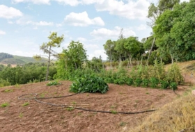 Sallent 2081004&nbsp;m² 