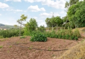 Land suitable for development for sale on España, Sallent, ref: TR260936 photo