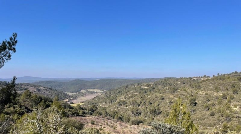 Zaragoza - Luna - 9306800m2