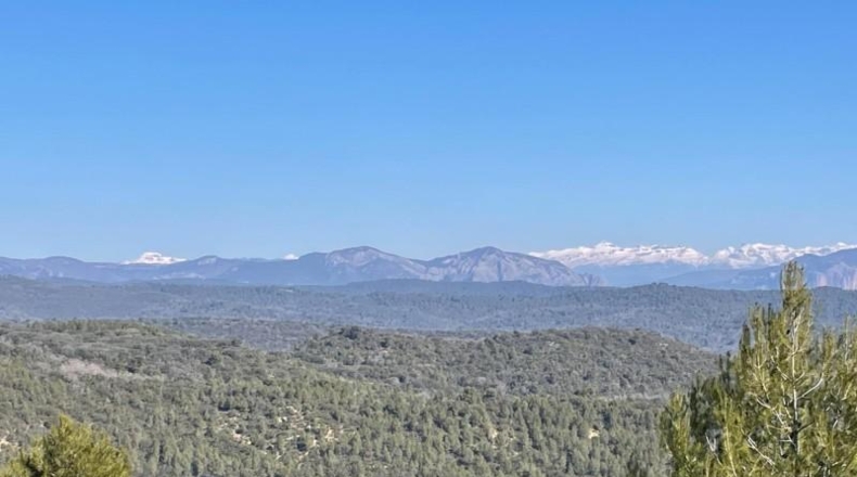 Zaragoza - Luna - 9306800m2