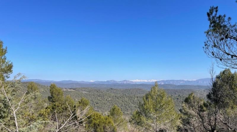Zaragoza - Luna - 9306800m2