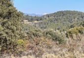 Terreno no urbanizable en venta en la España, Luna, ref: TR218269 foto