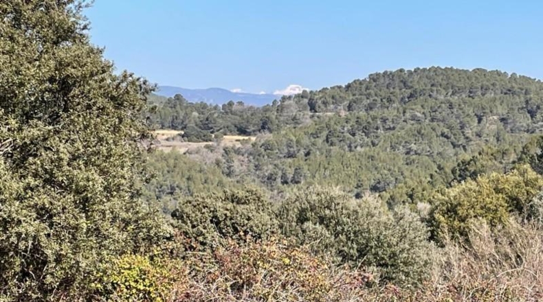 Zaragoza - Luna - 9306800m2
