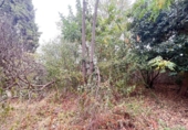 Xalet independent amb terreny en venda a la España, Marbella, ref.: TR151384 foto