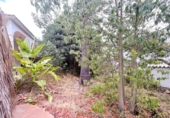 Xalet independent amb terreny en venda a la España, Marbella, ref.: TR151384 foto