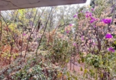 Xalet independent amb terreny en venda a la España, Marbella, ref.: TR151384 foto