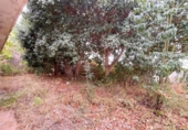 Xalet independent amb terreny en venda a la España, Marbella, ref.: TR151384 foto