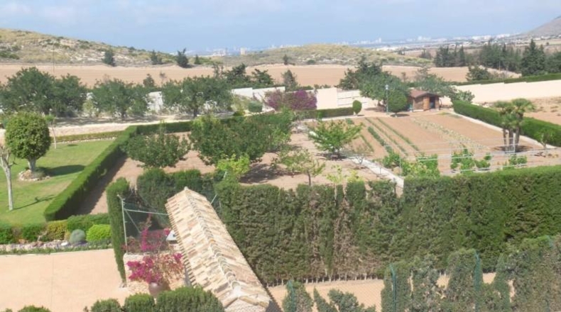 Murcia - Cartagena - 11293m2