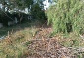 Non-developable land for sale on España, Torre del Mar, ref: TR122084 photo