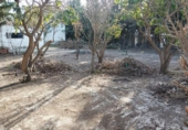 Non-developable land for sale on España, Torre del Mar, ref: TR122084 photo