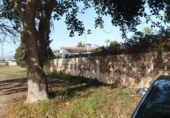 Non-developable land for sale on España, Torre del Mar, ref: TR122084 photo