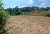 Land suitable for development for sale on España, Sanxenxo, ref: TR122695 photo