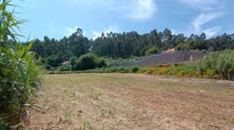 Pontevedra - Sanxenxo - 3900m2