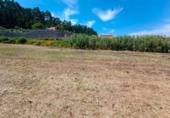 Land suitable for development for sale on España, Sanxenxo, ref: TR122695 photo