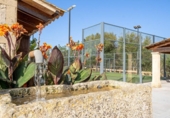 Chalet independiente con terreno en venta en la España, Son Bauló, ref: TR198251 foto