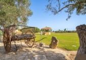 Chalet independiente con terreno en venta en la España, Son Bauló, ref: TR198251 foto