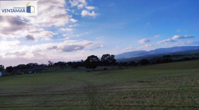 Cádiz - San Roque - 65000m2