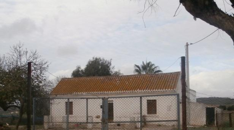 Cádiz - San Roque - 65000m2