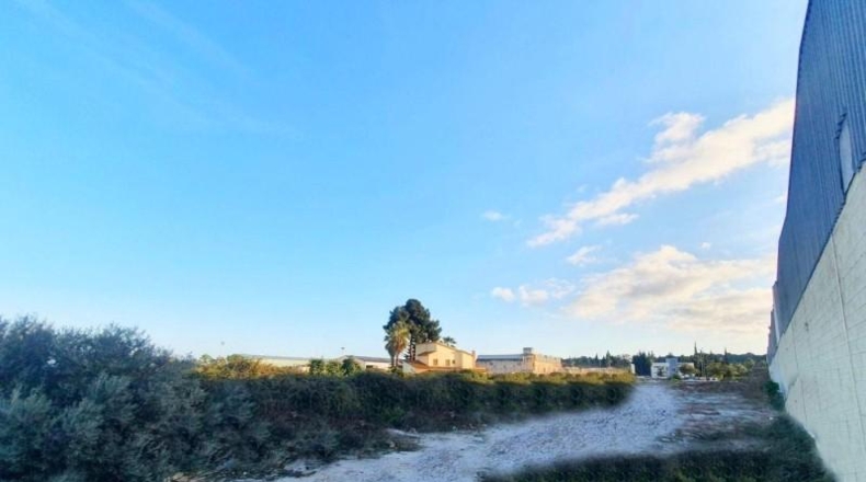 Málaga - Málaga - 9855m2