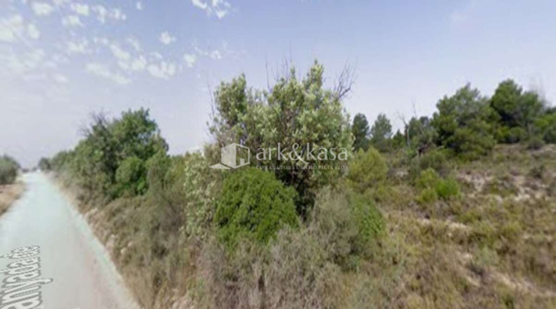 Valencia - Liria - 19958m2
